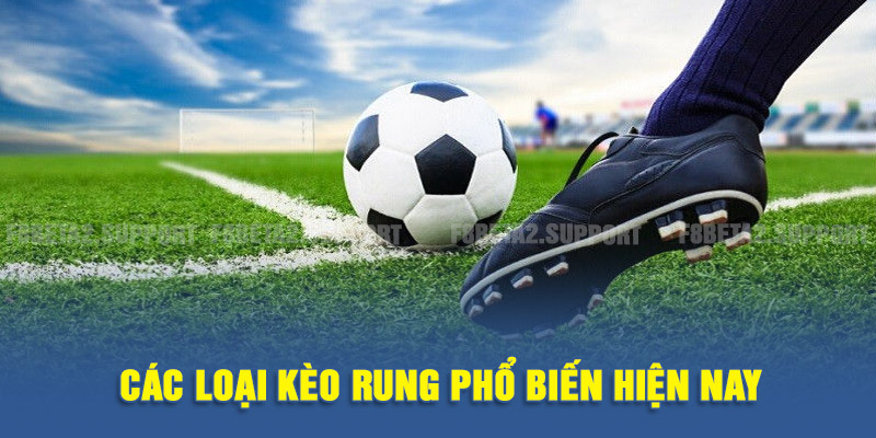 Các loại kèo rung phổ biến hiện nay